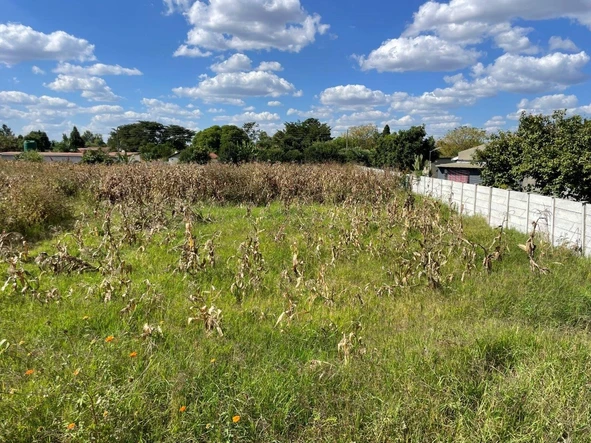 Stands & Residential Land