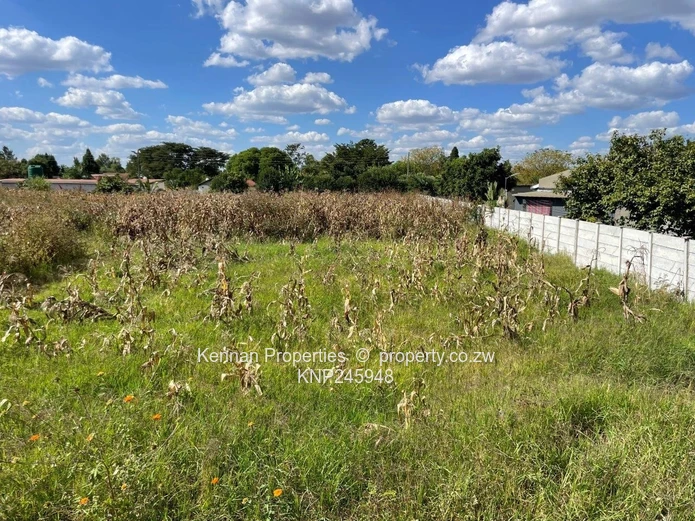 Old Malborough Stand For Sale  