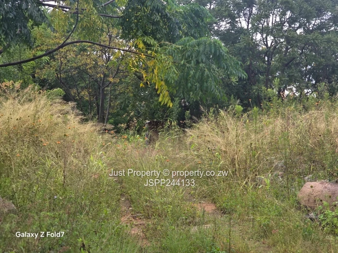 Manresa 2,169 m² Stand on Tarred Road – Sloping, Treed (Sole Mandate)