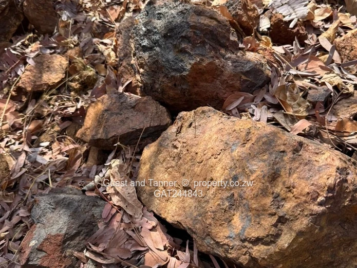 Makaha Gold Mine Opportunity