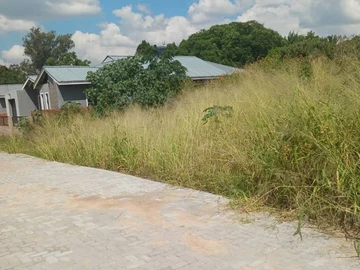 Stands & Residential Land