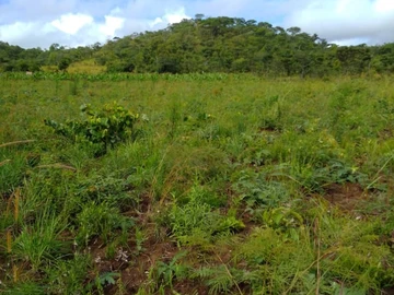 Farm & Agricultural Land