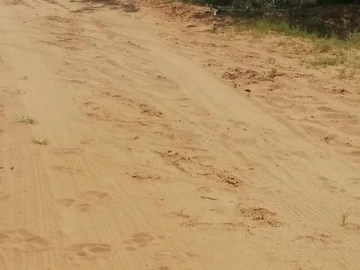 Farm & Agricultural Land