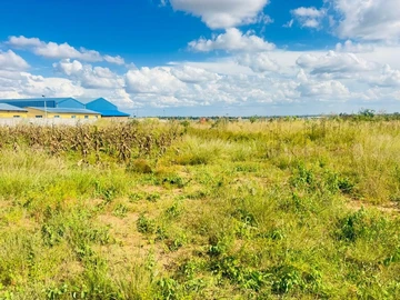 Commercial & Industrial Land