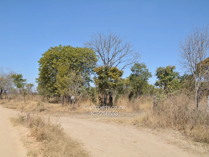 7 Hectares Liwonde Farm Goromonzi