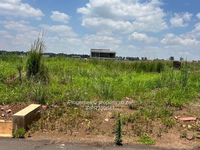 Discover a City Within a City