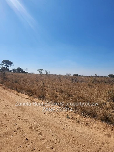 20ha Agro-plot , Hurungwe 