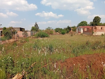 Stands & Residential Land