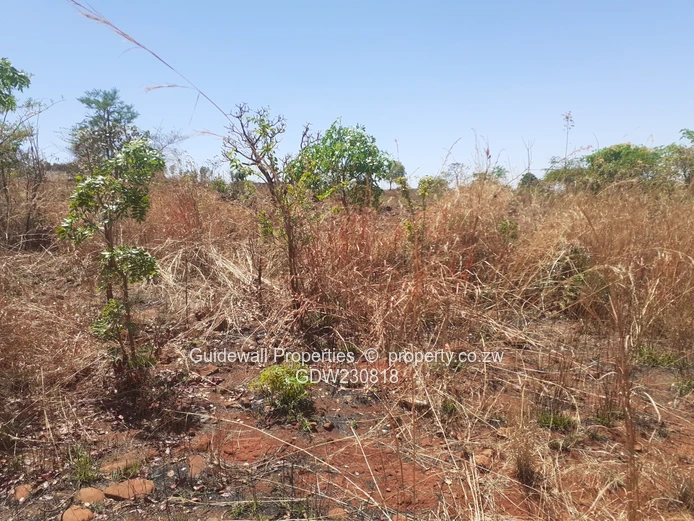 1200sqm stand with deeds in Charlotte Brook