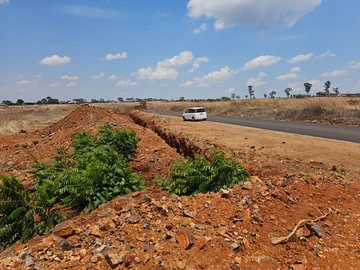 Pomona Nyeredzi Ridge Stand for Sale