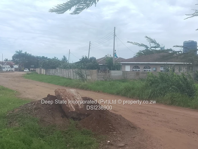 Bluff hill stand for sale 