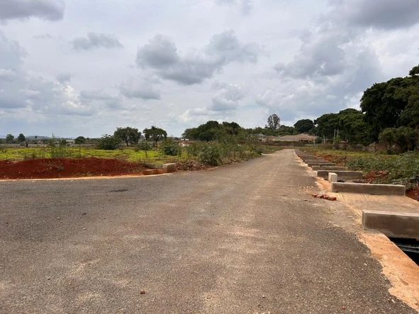 Stands & Residential Land