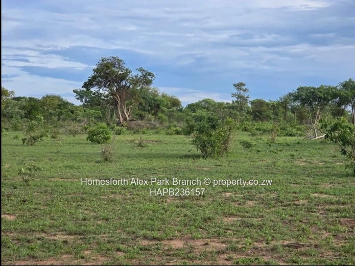 Kadoma Clonmoran Plot 