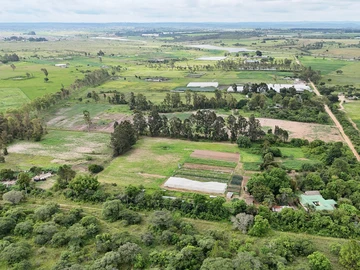 Farm & Agricultural Land