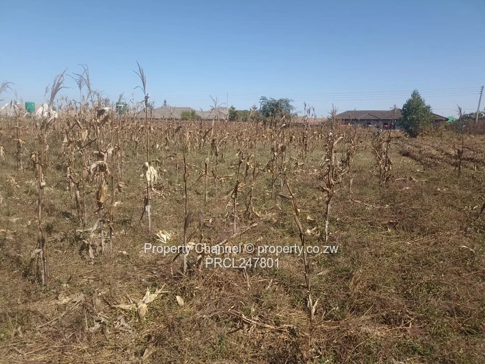 3000sqm Stand for Sale – Goodhope, Westgate Area