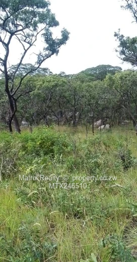 Expansive Farm Land for Sale in Chivhu