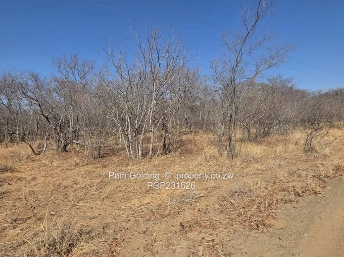377- Hectares Prime Agricultural Land in Nyamandlovu  (Sole Mandate)