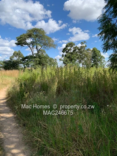 Prime 6.3091 hectares Land for Sale – Along Tarisa Road, Springvale, Ruwa  (Sole Mandate)
