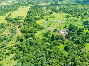 Farm & Agricultural Land