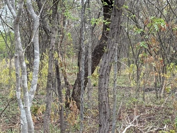 Farm & Agricultural Land