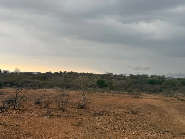 Farm & Agricultural Land