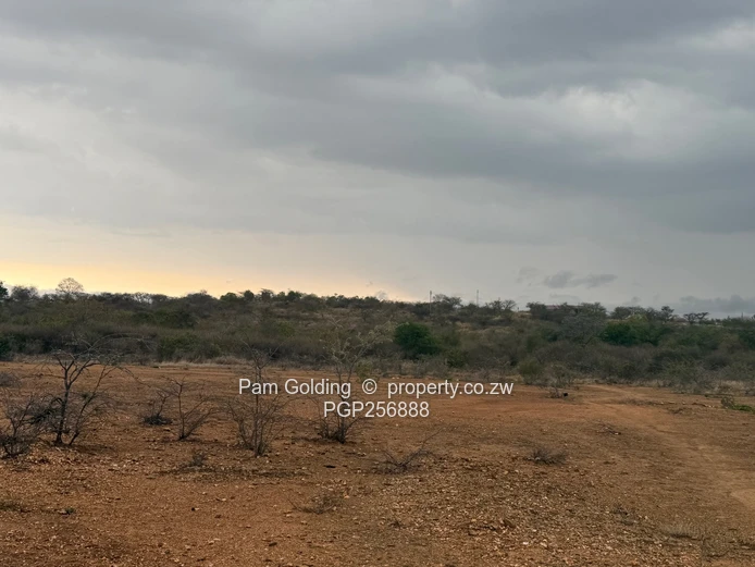 Kensington 10 acres for sale