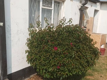 2 Bedroom Cottage