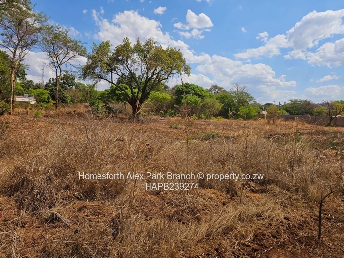 Kwekwe stand for sale