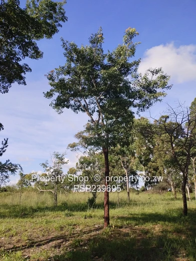 Residential Stand For Sale - Ruwa Country Club Golf Estate