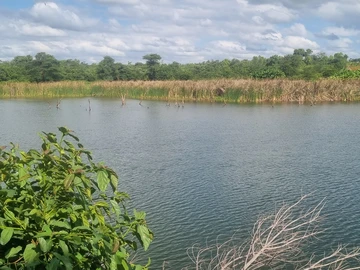 Farm & Agricultural Land