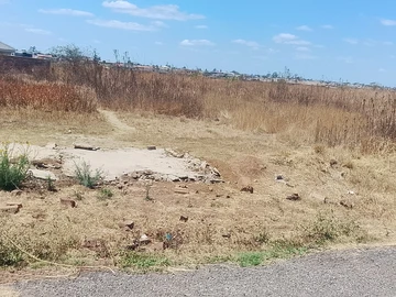 Stands & Residential Land