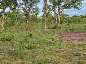 Farm & Agricultural Land