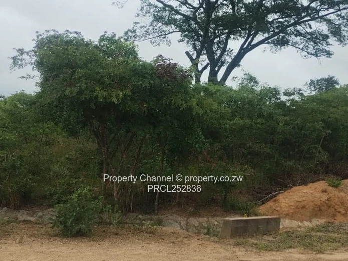 2159m² Corner Stand with Mature Trees in Rotsvlei Park, Marondera