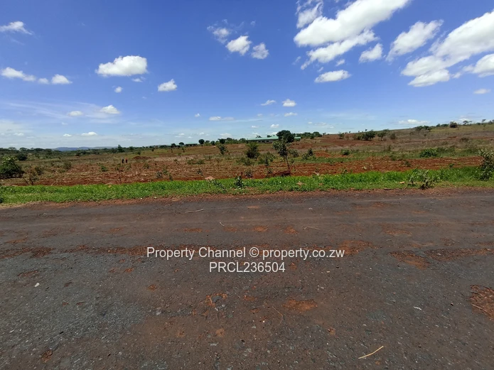 Pomona Serviced Residential Stands in Wild Geese, Buckland Gated Community