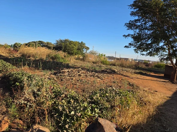 Stands & Residential Land