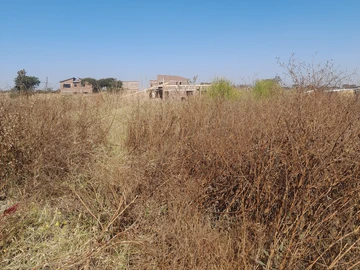 Stands & Residential Land
