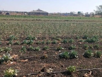 Farm & Agricultural Land