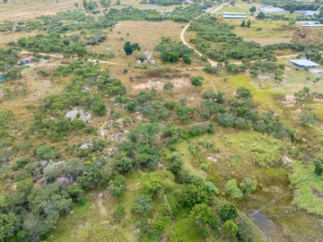 Farm & Agricultural Land