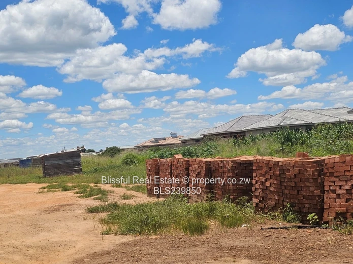 Stand for Sale in Zimre Park Extension