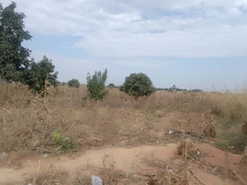 Commercial & Industrial Land