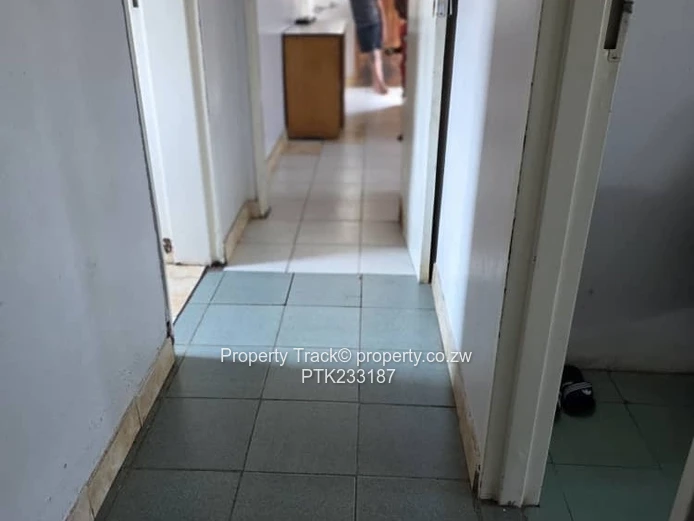 A neat and solid house!