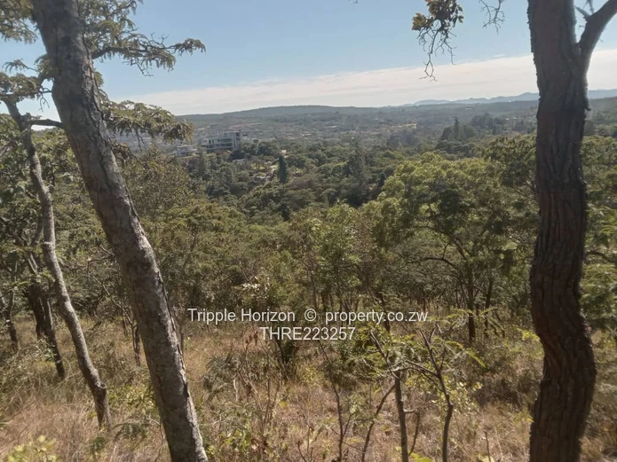 7,000 m² Treed Stand in Umwinsidale – Tarred Road in a built up secure area