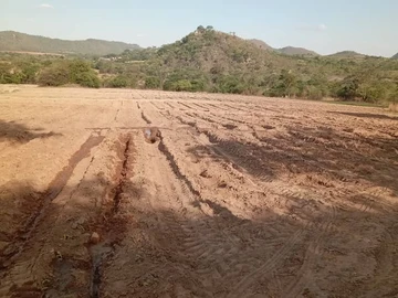 Farm & Agricultural Land