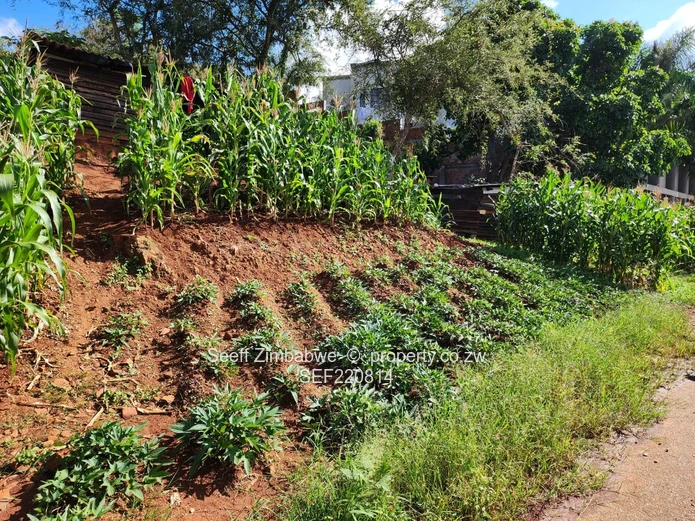 Panoramic Views Await: Prime Residential Stand in Prestigious Pomona!