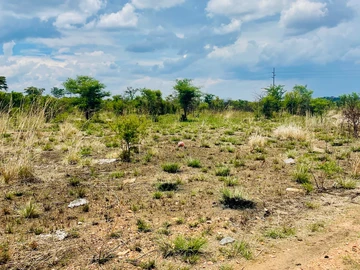 Farm & Agricultural Land