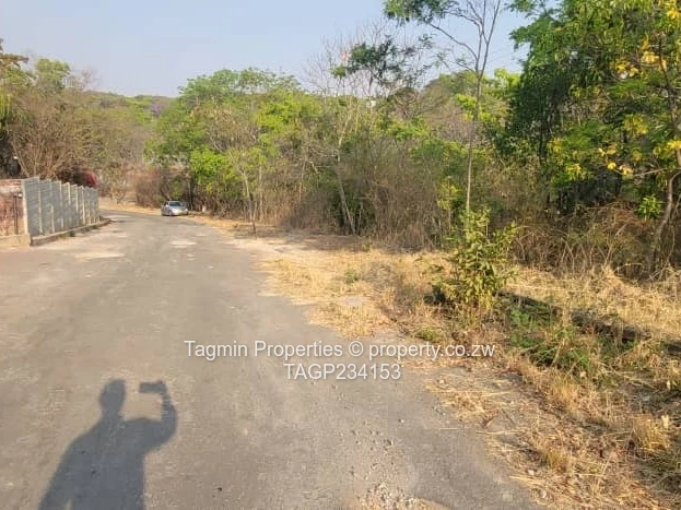 Glen Lorne vacant stand
