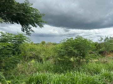 Commercial & Industrial Land