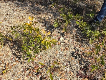 Farm & Agricultural Land