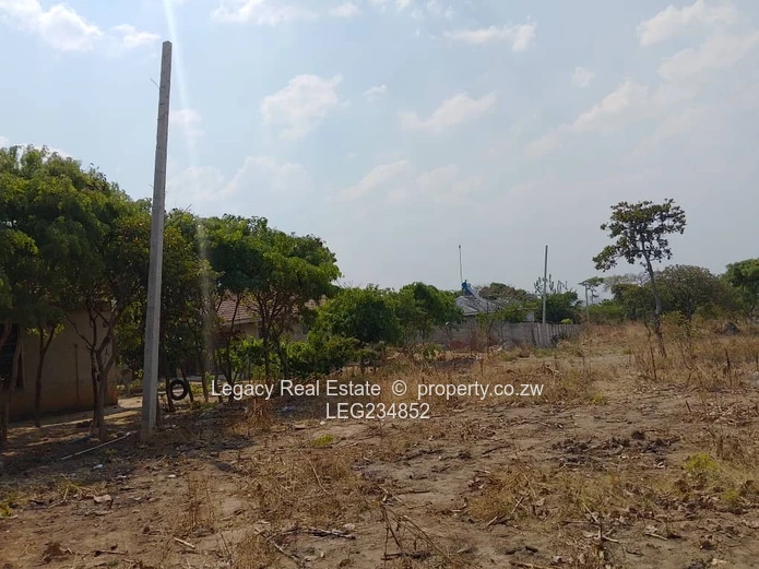 Crowhill 1300sqm Stand – Affordable Deal with Full Paperwork!