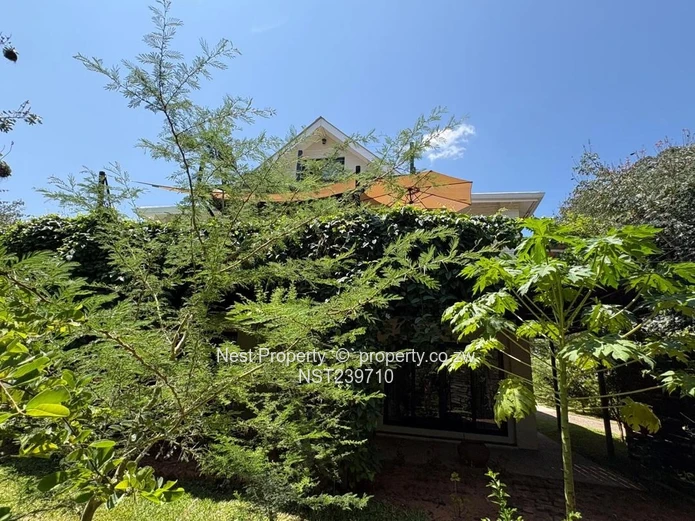 An exeptioanal , fully furnished and well-established double story dream house 